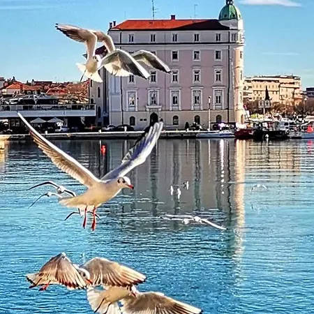 Superior Luxury דירה *